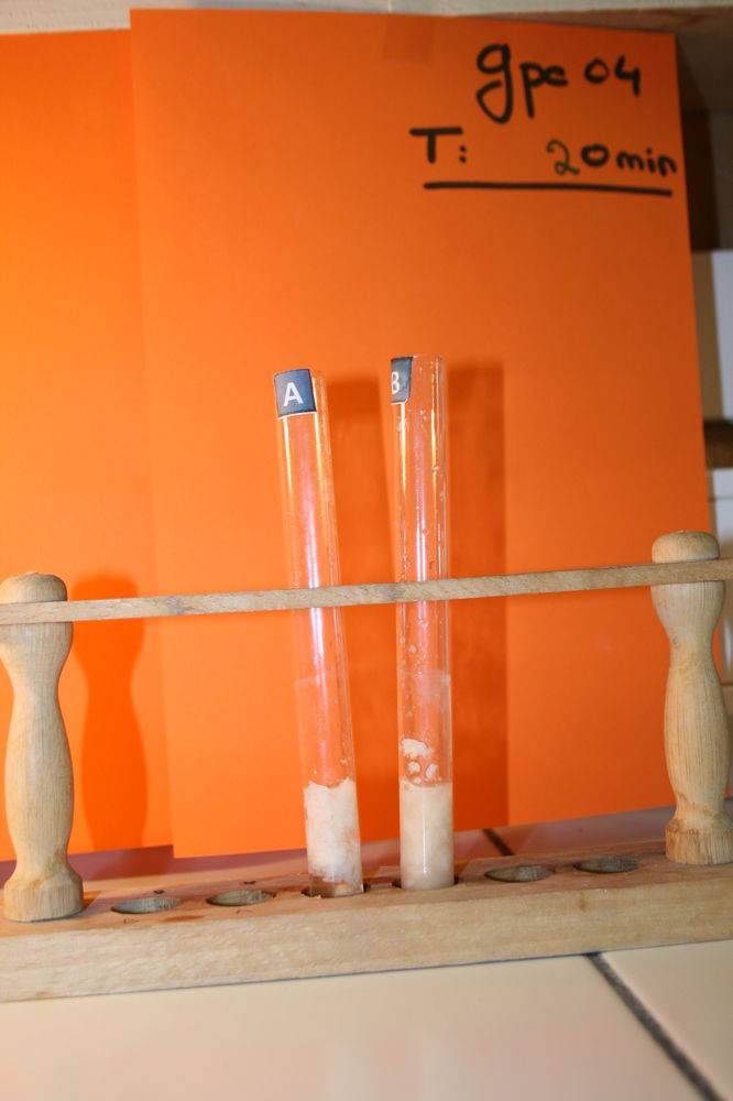 gal/LES_CINQUIEMES/ACTIVITE DIGESTION IN VITRO/Groupe_04/Groupe04_T_00h20min/Groupe04_T_00h_20min_2.JPG